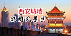 大屌操日夜中国陕西-西安城墙旅游风景区