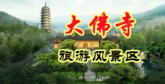 白虎15p中国浙江-新昌大佛寺旅游风景区